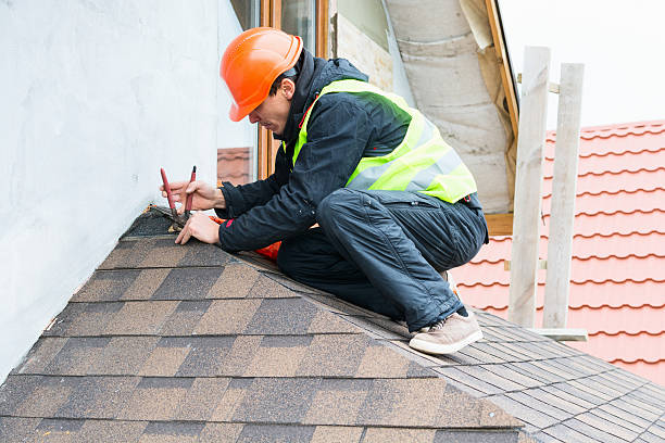 Best Roof Gutter Cleaning  in Terra Bella, CA